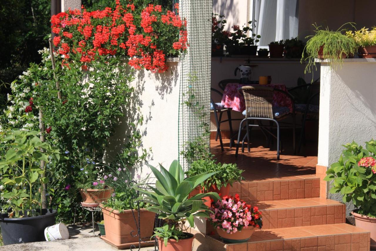 Apartman Rino Bašanija Kültér fotó