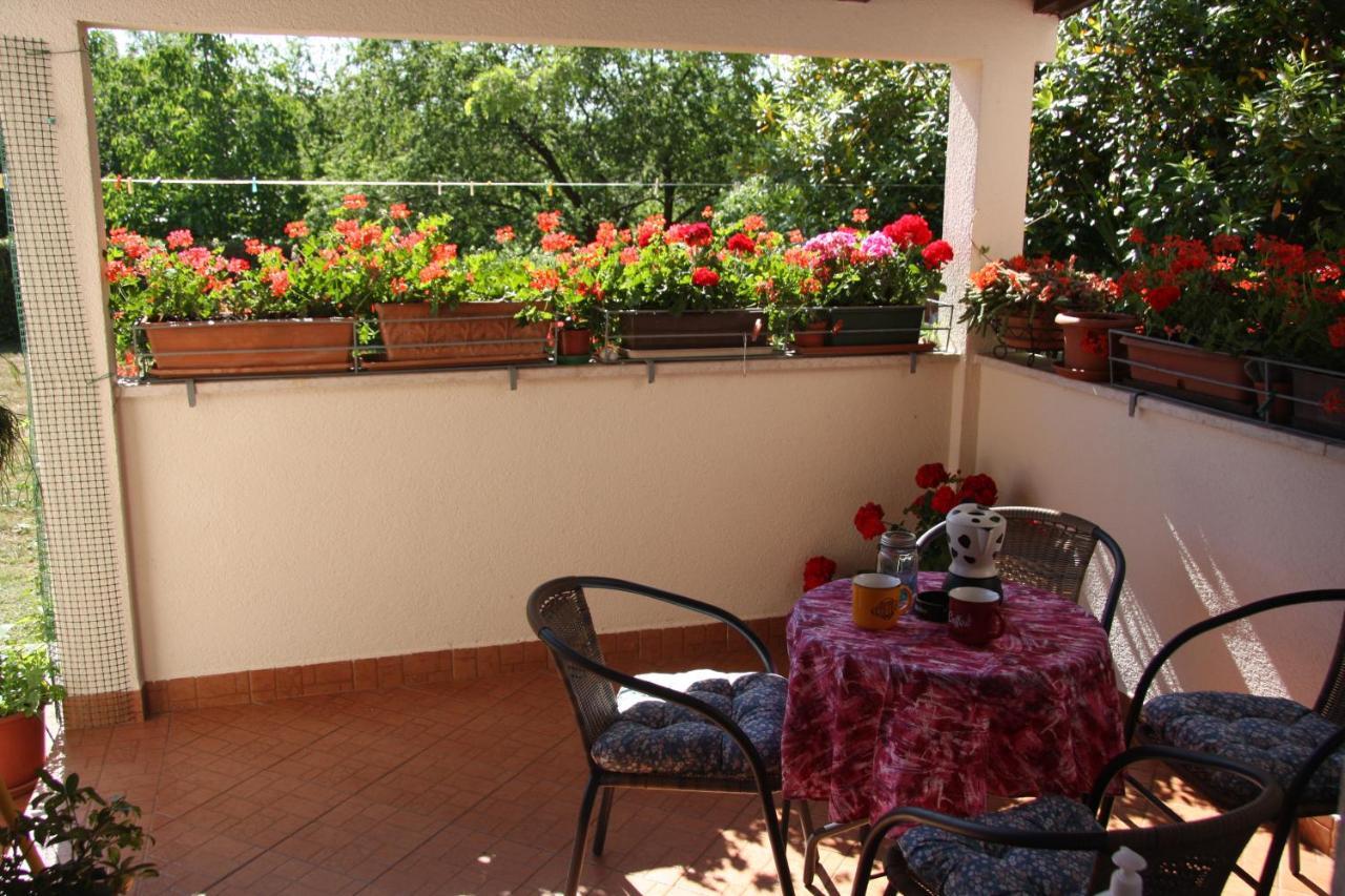 Apartman Rino Bašanija Kültér fotó